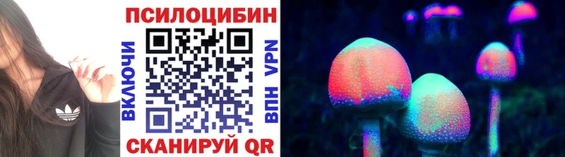 Псилоцибиновые грибы GOLDEN TEACHER  Хасавюрт 