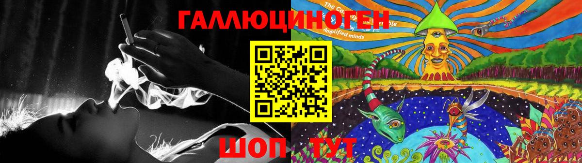 цены наркотик  Псилоцибиновые грибы Psilocybe  Вход с VPN  Хасавюрт 